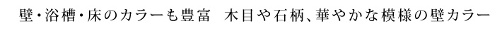 壁・浴槽・床のカラーも豊富　木目や石柄、華やかな模様の壁カラー