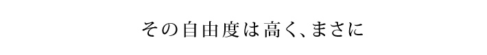 その自由度は高く、まさに