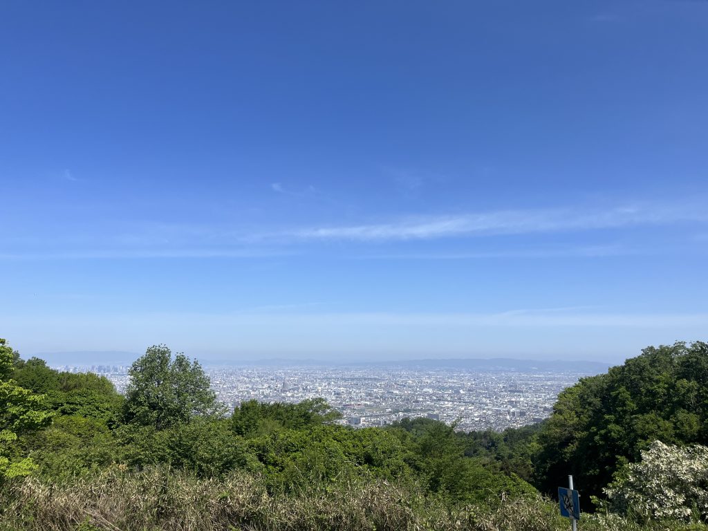 解体のオンパレード✨⛏️✨大東市・東大阪市・東住吉区