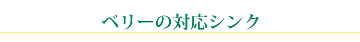 ベリーの対応シンク