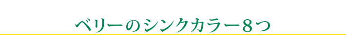 ベリーのシンクカラー８つ