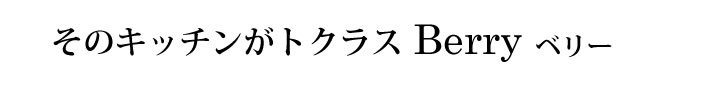 そのキッチンがトクラスBerry ベリー