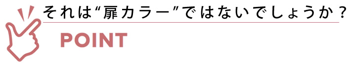 それは扉カラーではないでしょうか？