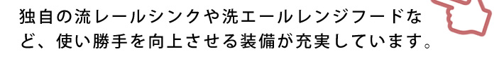 独自の流レールシンクや洗エールレンジフードなど、使い勝手を向上させる装備が充実しています。