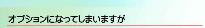 オプションになってしまいますが