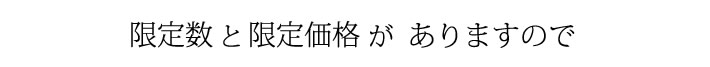 限定数と限定価格がありますので