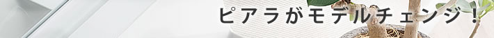 ピアラがモデルチェンジ!