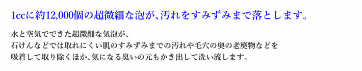 1ccに約12,000個の超微細な泡が､汚れをすみずみまで落とします｡1ccに約12,000個の超微細な泡が､汚れをすみずみまで落とします｡
    水と空気でできた超微細な気泡が､石けんなどでは取れにくい肌のすみずみまでの汚れや毛穴の奥の老廃物などを吸着して取り除くほか､気になる臭いの元もかき出して洗い流します。