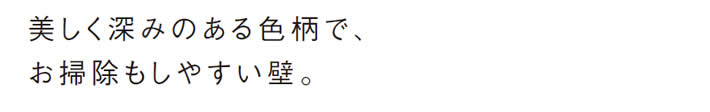 美しく深みのある色柄で、
            お掃除もしやすい壁。