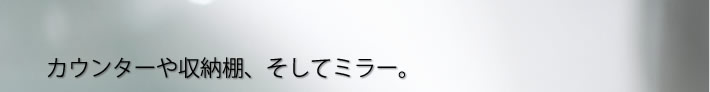 カウンターや収納棚、そしてミラー。