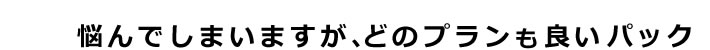 悩んでしまいますが、どのプランも良いパック