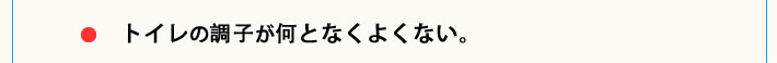 トイレの調子が何となくよくない。