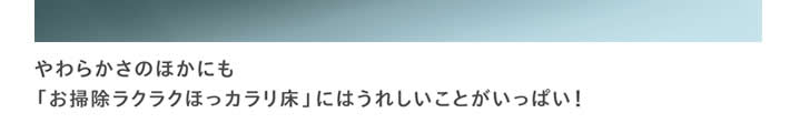 やわらかさのほかにも
			「お掃除ラクラクほっカラリ床」にはうれしいことがいっぱい！