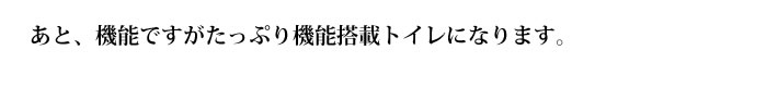 あと、機能ですがたっぷり機能搭載トイレになります。